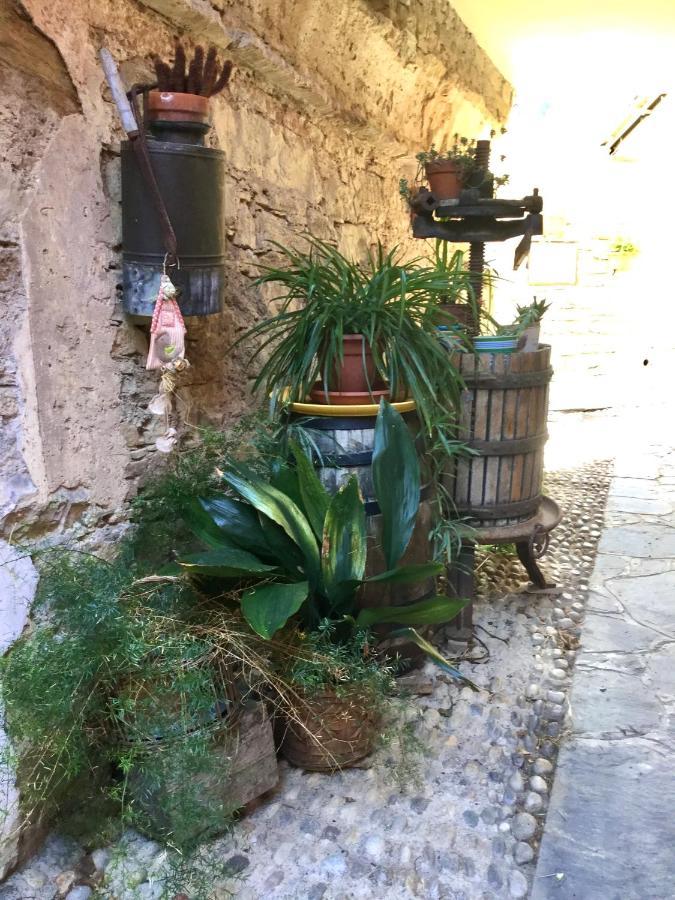 La Casa Nel Caruggio Daire Diano Arentino Dış mekan fotoğraf